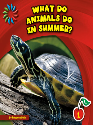 cover image of What Do Animals Do in Summer?